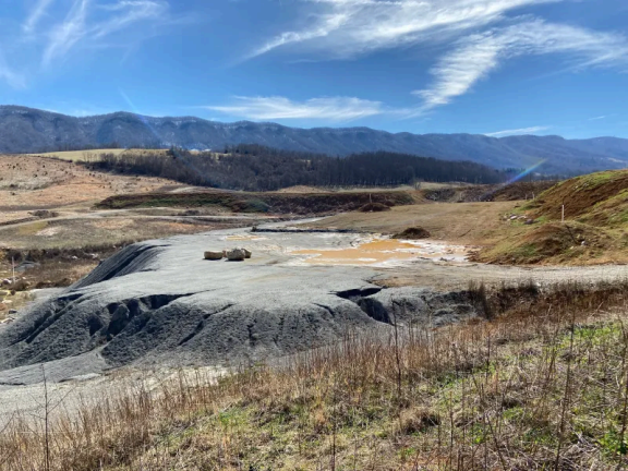 Pure Salmon site in February