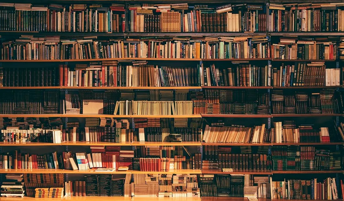 Shelves of books inside a library